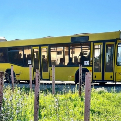 На четырех межмуниципальных маршрутах изменилось расписание движения автобусов