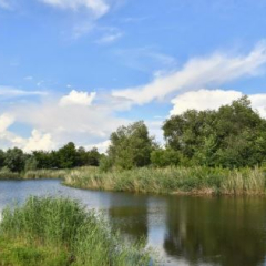 В восьми районах Саратовской области заполнят 85 водоемов