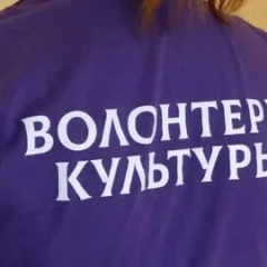 «Киновертикаль 2026» приглашает волонтеров стать частью самого яркого кинособытия региона