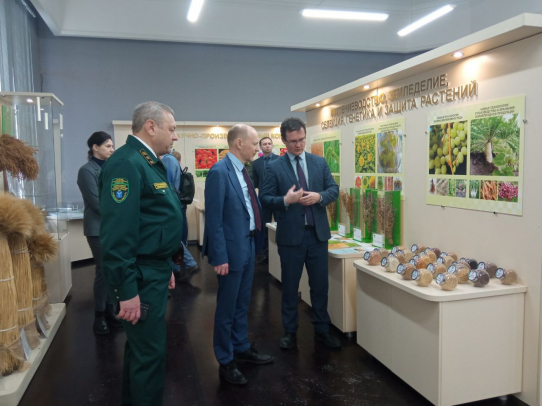 В лесхозах области установят не менее 50 видеокамер «Лесохранителей»