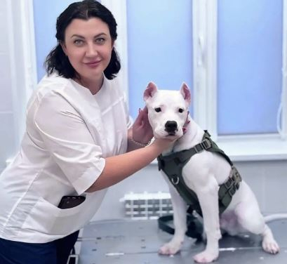 В июле ветеринарными врачами принято 6320 пациентов, на учет поставлено 16 381 животное