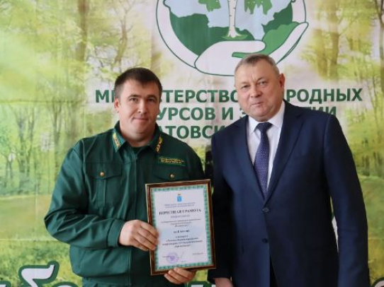 Тружеников лесного хозяйства Саратовской области поздравили с профессиональным праздником