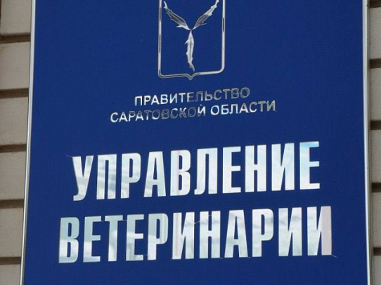 В Краснокутском районе выявлено неучтенное поголовье сельскохозяйственных животных