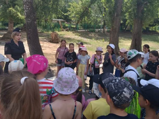 В рамках профилактического мероприятия «Каникулы» полицейские побывали в детских лагерях Саратова