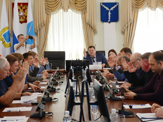 Депутаты гордумы положительно оценили работу комитета муниципального контроля