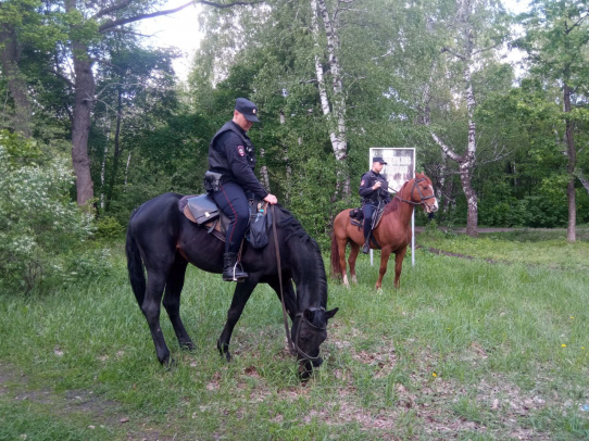 Для защиты памятника природы «Кумысная поляна» проводятся системные противопожарные рейды