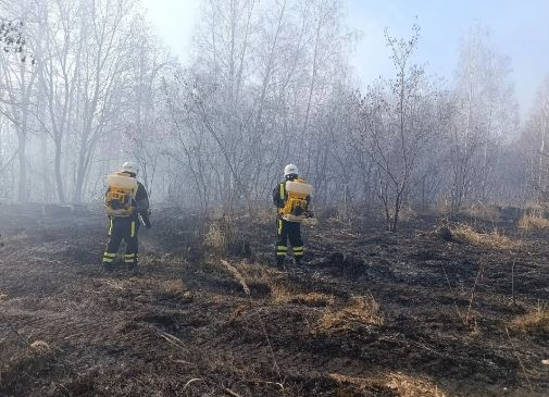 Лесопожарная обстановка у села Лох стабилизирована