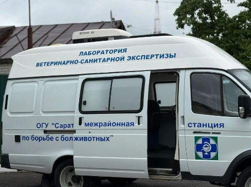 Более 10 тонн опасной еды не попало на столы жителей