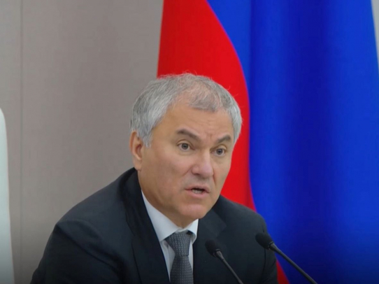Володин: надо разобраться, в чем причина обмеления Волги