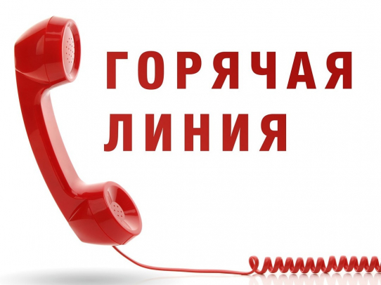 На «горячую линию» за помощью обратились три жительницы Саратова