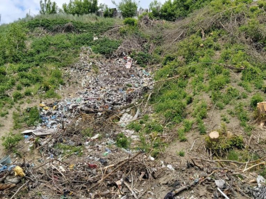 В Саратовской области могут ужесточить наказание за несанкционированные свалки