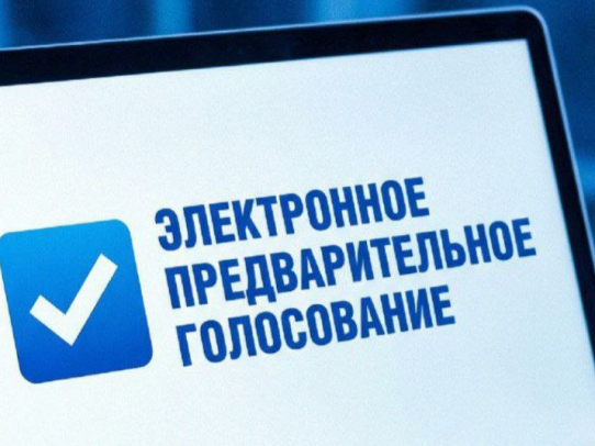 В Саратовской области пройдет предварительное голосование «Единой России»