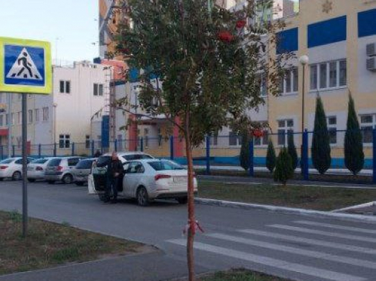 В Кировском и Гагаринском районах началась осенняя посадка деревьев