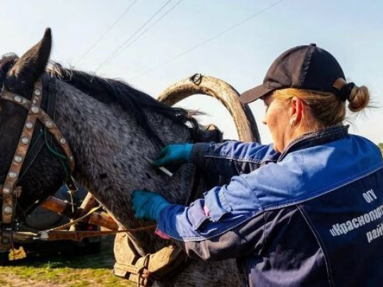 Госветслужба Саратовской области провела 4,5 миллиона профилактических вакцинаций
