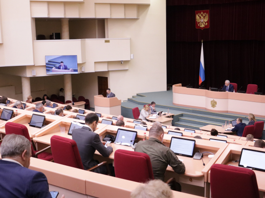 Принят закон о господдержке ремесленной деятельности в Саратовской области