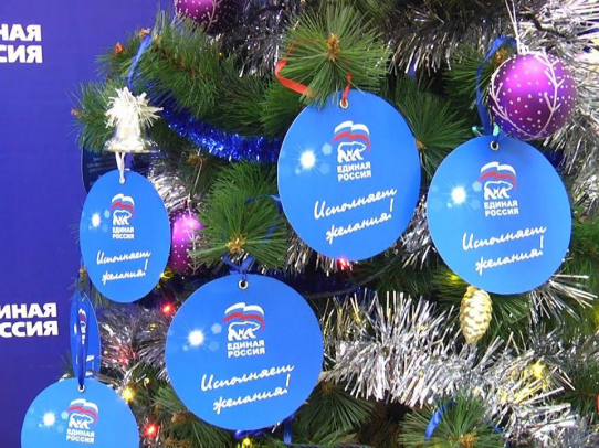На новогодних праздниках депутаты исполнят сокровенные мечты детей участников СВО