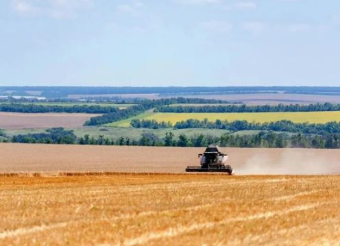 Урожай зерна в Саратовской области приближается к 4 миллионам тонн