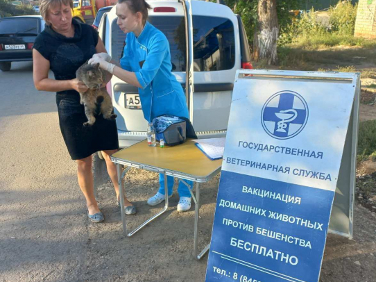 Более 260 домашних питомцев привито против бешенства в мобильных ветеринарных пунктах