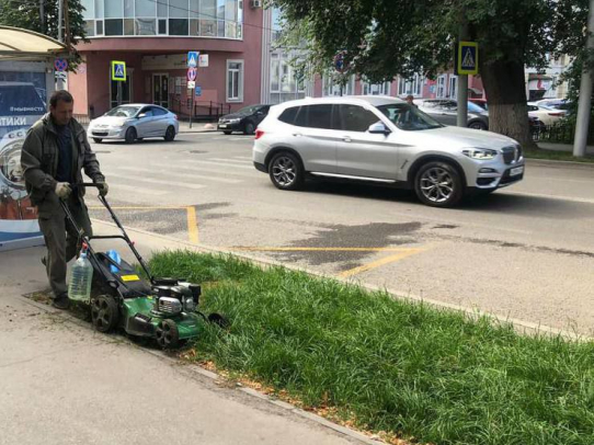 Продолжается работа по озеленению Саратова