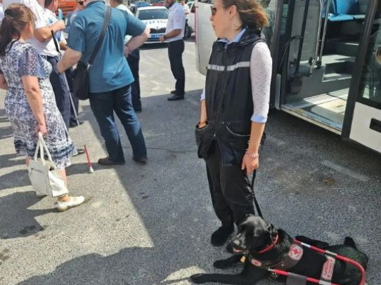 В Саратове продолжаются проверки общественного транспорта на доступность маломобильных групп населения