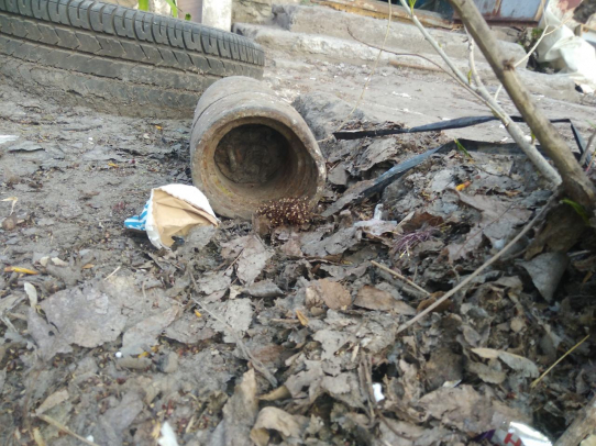 В Заводском районе Саратова найден артиллерийский снаряд