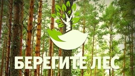 В Саратовской области гражданам снова ограничили пребывание в лесах
