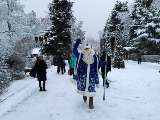 В Городском парке состоялось торжественное открытие новогодней ели