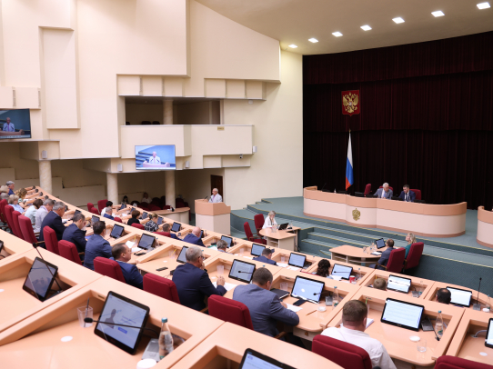 Дума поддержала инициативу депутатов о совершенствовании механизмов мониторинга и парламентского контроля