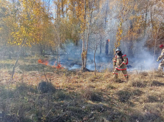 В лесах Саратовской области завершен пожароопасный сезон