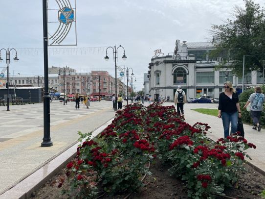 Администрация города просит жителей не срезать цветы с городских клумб