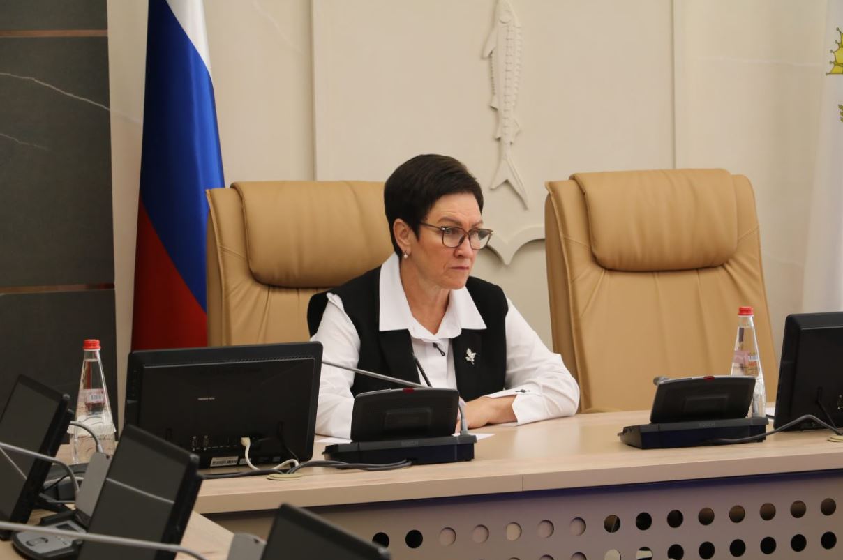 Депутаты Саратовской облдумы подчеркнули необходимость защиты общества от иноагентов