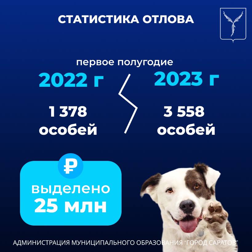 На территории областного центра продолжается работа по отлову безнадзорных животных