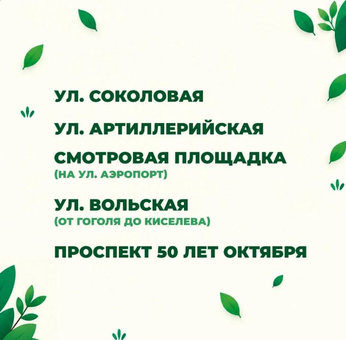 В Саратове стартует осенняя высадка крупномеров