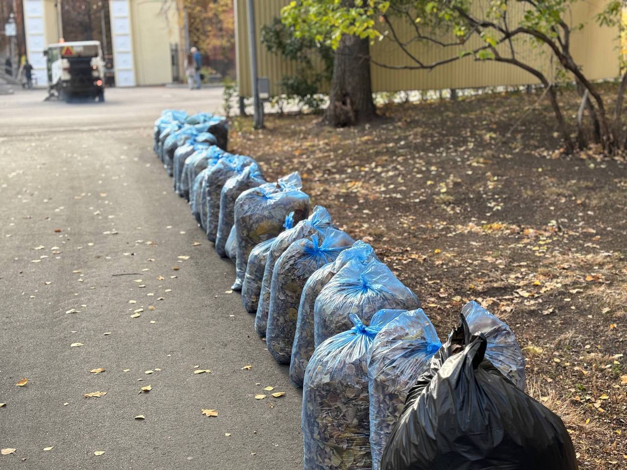 В Саратове прошел общегородской субботник