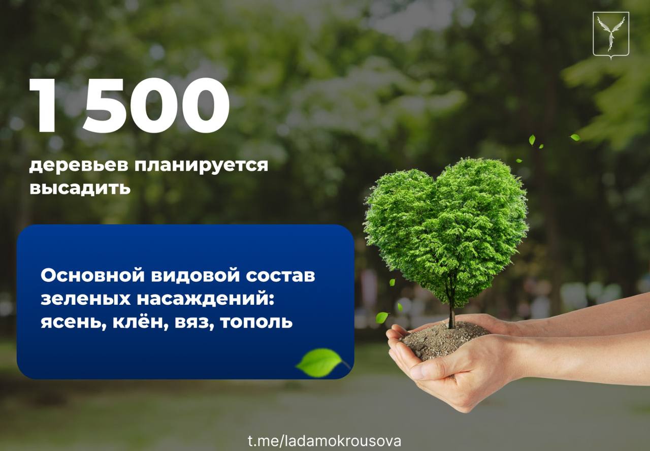 Лада Мокроусова: Предстоящей осенью в Саратове запланирована компенсационная высадка зеленых насаждений