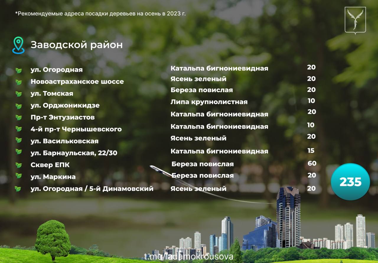 Лада Мокроусова: Предстоящей осенью в Саратове запланирована компенсационная высадка зеленых насаждений Лада Мокроусова: Предстоящей осенью в Саратове запланирована компенсационная высадка зеленых насаждений