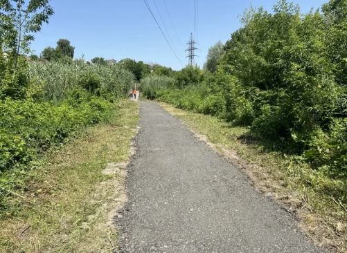 В Князевке начались работы по благоустройству после встречи с депутатом Госдумы