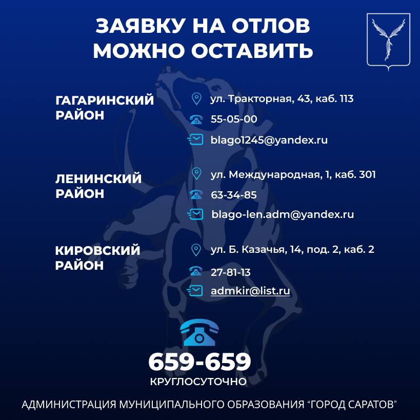 На территории областного центра продолжается работа по отлову безнадзорных животных