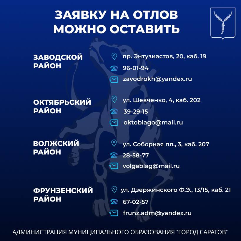 На территории областного центра продолжается работа по отлову безнадзорных животных