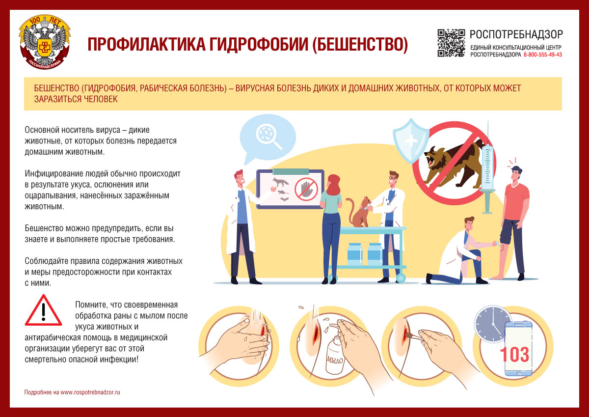 Роспотребнадзор напоминает: сезонности заражения бешенством нет! Роспотребнадзор напоминает: сезонности заражения бешенством нет!