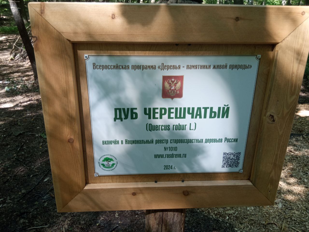 Продолжаются работы по благоустройству памятника природы «Кумысная поляна» Продолжаются работы по благоустройству памятника природы «Кумысная поляна»