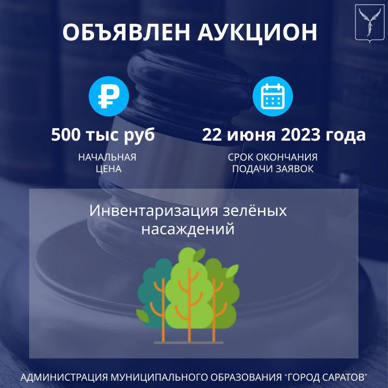 В Саратове объявили аукцион на инвентаризацию зеленых насаждений В Саратове объявили аукцион на инвентаризацию зеленых насаждений